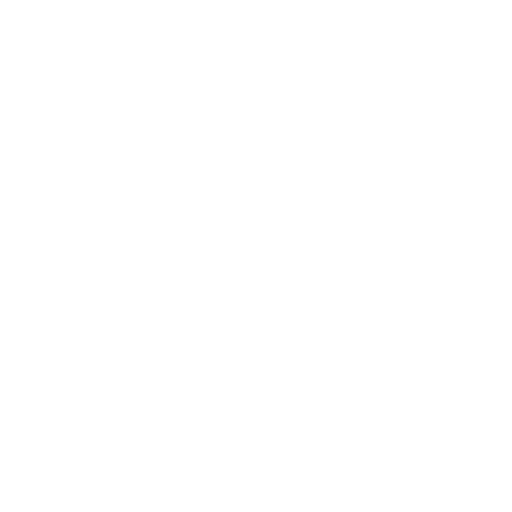 RaFi IslaM logo